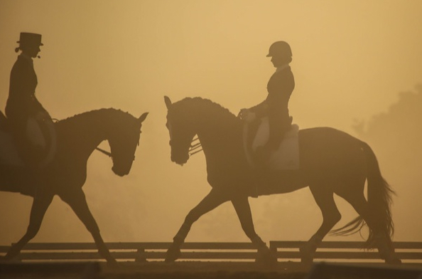 dressage_early_morning
